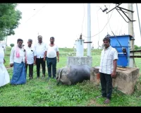 విద్యుదాఘాతంతో  గేదె మృతి