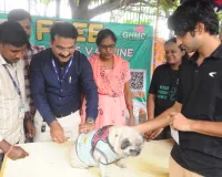 రేబిస్ నిర్మూలనకు సామూహిక టీకాలు 