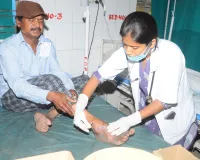 వీధి కుక్కల బెడదకు చెక్ ఎప్పుడు ?