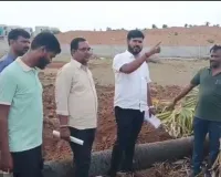 కొంగరకలాన్‌లో తాటి చెట్ల కూల్చివేత