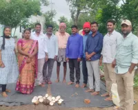 సీసీ రోడ్డు నిర్మాణ పనులకు శ్రీకారం