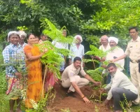 ఇమాంపేట గ్రామంలో హరితహారం 