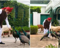 మోదీని వీడ్కోలు పలికేందుకు వచ్చిన మూగజీవులు.. ప్రత్యేక క్షణాలను పంచుకున్న ప్రధాని