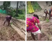 సీతక్క నియోజకవర్గంలో రోడ్డు దుస్థితి.. వరి నాట్లతో నిరసన తెలిపిన ప్రజలు