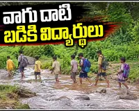 రహదారి లేదు.. వంతెన లేదు.. వాగు దాటి బడికి విద్యార్థులు