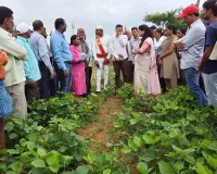 పంట మార్పిడి కార్యక్రమంలో పాల్గొన్న జిల్లా కలెక్టర్