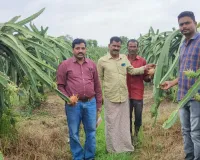 ఉద్యాన, పట్టు పరిశ్రమ శాఖ అధికారి జినుగు మరియన్న క్షేత్ర సందర్శన 