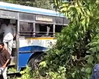 హన్మకొండలో ఆర్టీసీ బస్సుపై భారీ చెట్టు కూలి కలకలం