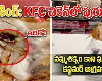 కేఎఫ్‌సీ ప్రియులకు షాకింగ్.. చికెన్‌లో పురుగు...ఎక్క‌డ అంటే?