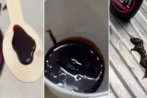 మొన్న ఐస్ క్రీమ్ లో వేలు.. ఇప్పుడు చాక్లెట్ సిరప్ లో ఎలుక..