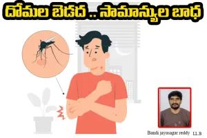 దోమల బెడద .. సామాన్యుల బాధ 