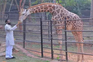 విశాఖ జూలో డిప్యూటీ సీఎం పవన్ సందడి