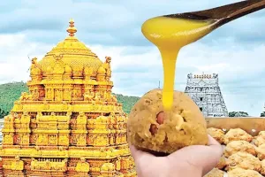 కల్తీ నెయ్యి కేసులో 'సిట్' తుది ఛార్జిషీట్