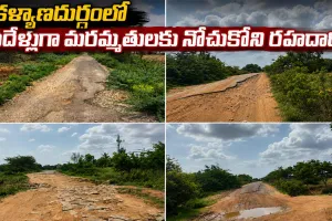 రోడ్లు లేని గ్రామాలకు సైకిళ్లు ఎందుకు ఎమ్మెల్యే సార్?.. ఎర్రడికేర వాసుల ఆగ్ర‌హం..