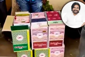 రాఖీ పండుగకు పవన్‌ కల్యాణ్‌ ఆత్మీయ కానుక.. 2,300 మంది చెల్లెమ్మలకు చీరలు