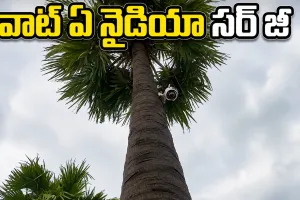 కల్లు దొంగలకు చెక్.. తాటిచెట్టుకే సీసీ కెమెరా ఏర్పాటు చేసిన గీత కార్మికుడు