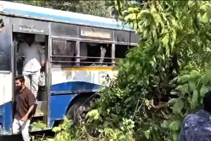 హన్మకొండలో ఆర్టీసీ బస్సుపై భారీ చెట్టు కూలి కలకలం