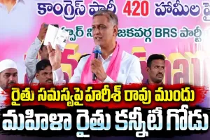 రేవంత్‌ రెడ్డిని బొంద పెట్టాలి.. హరీశ్‌ రావు ముందు మహిళా రైతు ఆవేదన