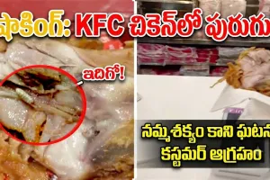 కేఎఫ్‌సీ ప్రియులకు షాకింగ్.. చికెన్‌లో పురుగు...ఎక్క‌డ అంటే?