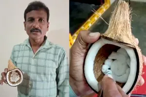 చిప్పలోనే విఘ్నేశ్వరుడి రూపం: వావ్ అనిపిస్తున్న టీచర్ శ్రీను క్రియేటివిటీ
