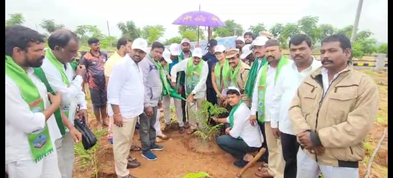 WhatsApp Image 2024-07-20 at 13.32.24_38493957